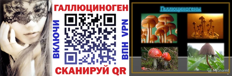 Купить где  Луга  Галлюциногенные грибы MAGIC MUSHROOMS 