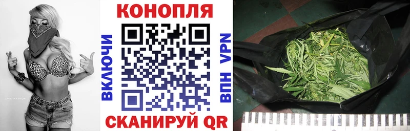 Конопля AK-47 Луга