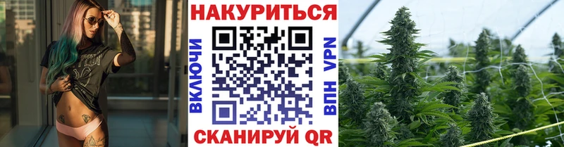 Купить где  Луга  Бошки марихуана White Widow 